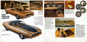 1973 Ford Mustang-12-13.jpg